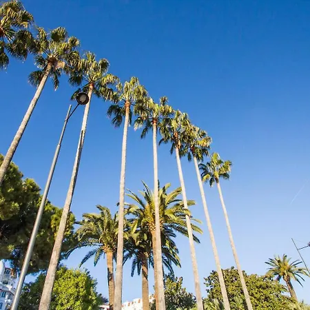 Le Miramar Sea View *